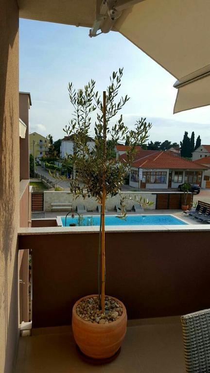 Antonija Apartments With Pool Biograd Na Moru Zewnętrze zdjęcie